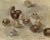 Pamela Kay RWS, Mushrooms Study, 20th Century, Oil Painting For Sale