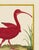 Here we have a red curlew. The print has the birds name in French at the bottom if you would like to do further study. The...