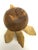 Tribal Vintage Hand Carved Wood and Gourd Turtle Figure For Sale - Image 3 of 13