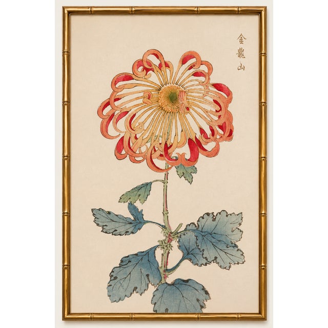 Red Chrysanthemum by Hasegawa, Vintage Japanese Botanical Art Print, 12" X 18" For Sale In Buffalo - Image 6 of 8