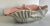 1940s Mid 20th Century Gonder Pottery 500 Gray and Pink Sealife Shell Bowl For Sale - Image 5 of 10