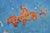 Sirio Pellegrini, Galloping Cart Sculpture, 1960s, Terracotta For Sale - Image 4 of 5