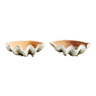 Aged Terra Cotta Conch Shells by Campo De Fiori - a Pair For Sale