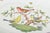 20th Century Large Oval Rothschild Bird Serving Platter by Herend, Hungary For Sale - Image 3 of 5