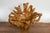 A vintage Chinese hand-crafted camphor wood root chair from the 20th century, with light varnished patina and unusual...