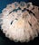 Gold Art Deco Pink Murano Glass Chandelier in the style of Barovier, Venice, Italy, 1982 For Sale - Image 8 of 11