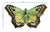 Karl Springer Box Jewelry Butterfly by Fabienne Jouvin For Sale - Image 4 of 14