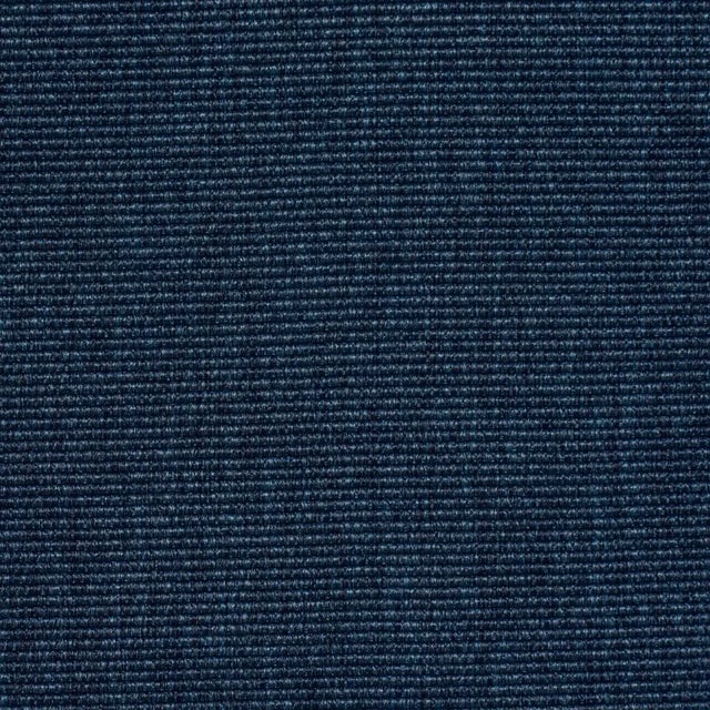 Contemporary SAMPLE - Schumacher Cooper Indoor/Outdoor Fabric In Navy For Sale - Image 3 of 3