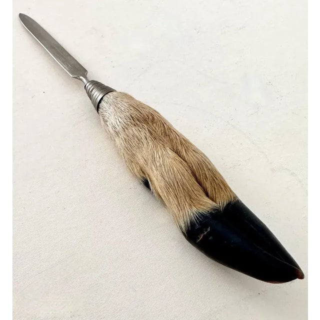Rustic Hoof Letter Opener Made in Austria For Sale - Image 3 of 8