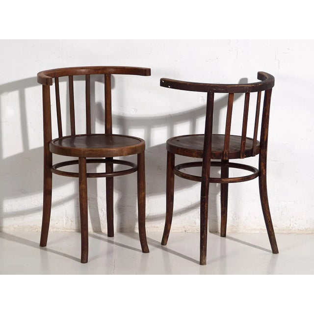 Vintage Bentwood Chairs, 1920, Set of 4 For Sale - Image 3 of 10
