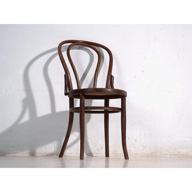 Antique Bentwood Chairs from Thonet, Central Europe, 1900, Set of 2 For Sale - Image 10 of 11
