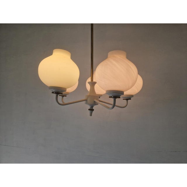 1950s Mid-Century Tulip Glass Chandelier, 1950s For Sale - Image 5 of 16