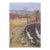 1990s Impressionism Landscape Painting, Ukrainian Artist, 1992 50-35 For Sale