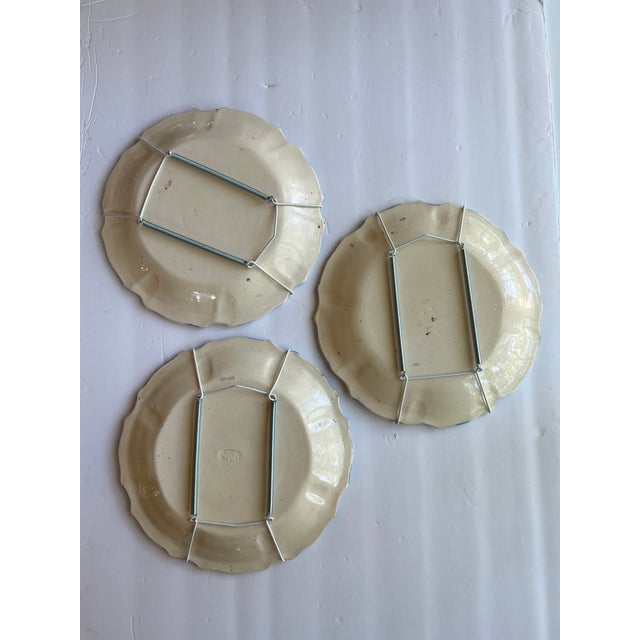 Ivory Colorful Italian Botanical Wall Plates For Sale - Image 8 of 9