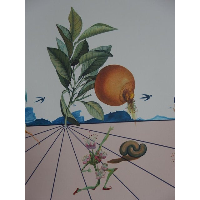 Salvador Dali, Flordali, 1981, Lithograph For Sale - Image 6 of 9