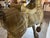1970s Monumental Sergio Bustamonte Horse For Sale - Image 11 of 12