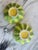 Vintage Studio Art Melon Bowls - A Pair For Sale In Seattle - Image 6 of 11