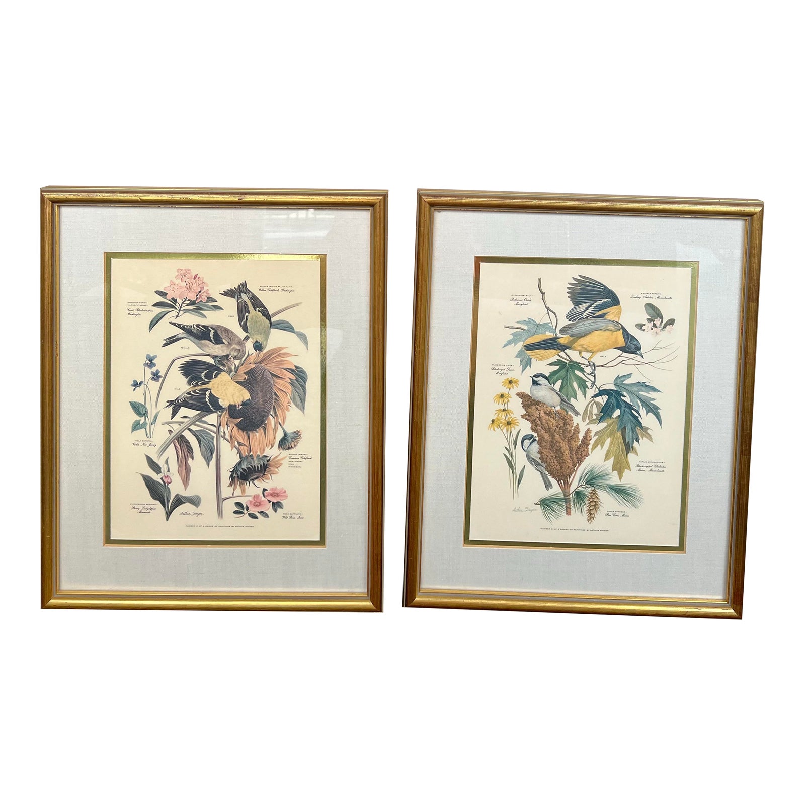 Mid Century Pair of Framed Audubon Bird & Flower Prints Signed Arthur ...