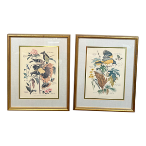 Mid Century Pair of Framed Audubon Bird & Flower Prints Signed Arthur Singer -2