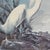 Mid 20th Century After John James Audubon Vintage Print White Egret Antique Walnut Frame For Sale In Boston - Image 6 of 9