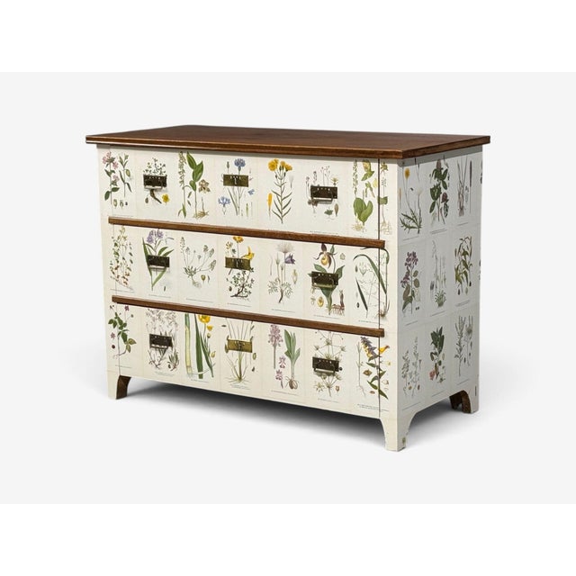 1930s Swedish Modern, Nordens Flora Dresser, Brass, Floral Lithographs, Sweden, 1930s For Sale - Image 5 of 14