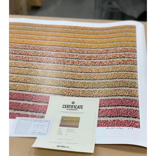 Bernhard Lang, AV_Tulip_Fields_016, Photographic Print For Sale - Image 7 of 12