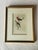 Cream Antique Hand-Colored Litghograph , "The Crowned Flycatcher" C. 1853 For Sale - Image 8 of 18