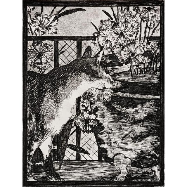 Édouard Manet The Cat and the Flowers, 1869 Etching and aquatint on Rives paper Signed in the plate Bibliography: Guerin...
