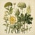 English Vintage Botanical Garden Study No. 9 | Botanical Wall Art in Dark Green & Cream For Sale - Image 3 of 3