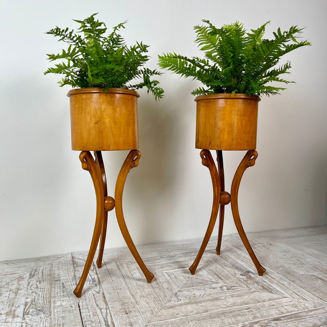 Empire Style Swan-Neck Circular Fruitwood Jardinières, Set of 2 For Sale - Image 11 of 11