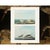 John James Audubon 1966 Vintage Nautical Cottage Print "Piping Plover and Wilson's Plover" After John James Audubon For Sale - Image 4 of 5