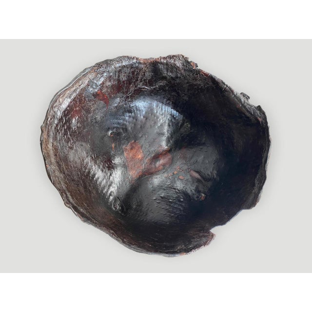 Polished Buffalo Hide Container For Sale In New York - Image 6 of 18