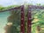 Vintage Hand-Painted Peacock & Landscape Four-Panel Folding Screen For Sale - Image 14 of 16