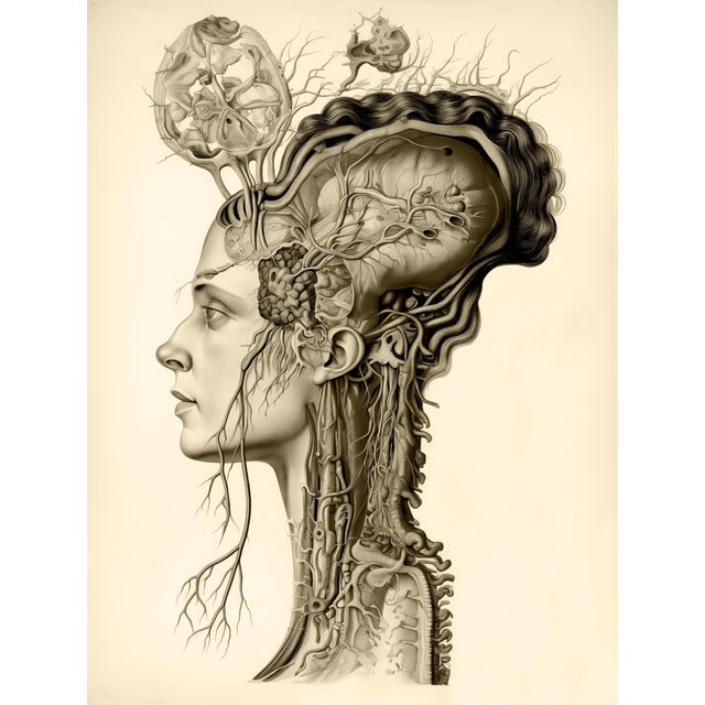 FREE SHIPPING FOR A LIMITED TIME ONLY! 'Portrait of a Woman' - One-of-a-Kind Original Fine Art Print Dimensions: Print...