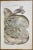 Diseases of the Ovary is a lithograph hand colored by Ottavio Muzzi for the edition of Antoine Chazal, Human Anatomy,...