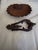 Victorian Cast Iron Knocker and Shell For Sale In San Antonio - Image 6 of 9