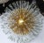 Mid-Century Modern 1940s Austrian Brass Sputnik Chandelier For Sale - Image 3 of 7