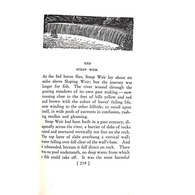 Paper "Salar the Salmon" Book 1936 Williamson, Henry For Sale - Image 7 of 10