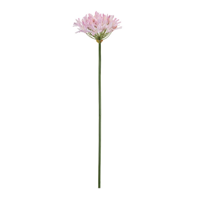 Add a soft and elegant touch to your floral decor with this Pink Agapanthus Stem Set. Featuring a full cluster of...