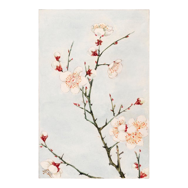 Plum Branches With Blossoms (C. 1870–1880) by Megata Morikaga, Japanese Botanical Art Print Reproduction, 24" × 36" For Sale