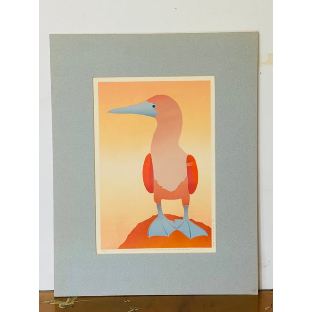 Beautiful stylization and colour palette pelican bird mixed media on paper , matted, signed by Ecuadorian artist.