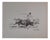 Roberto Domingo y Fallola, Armillita, in a natural pass, Engraving For Sale
