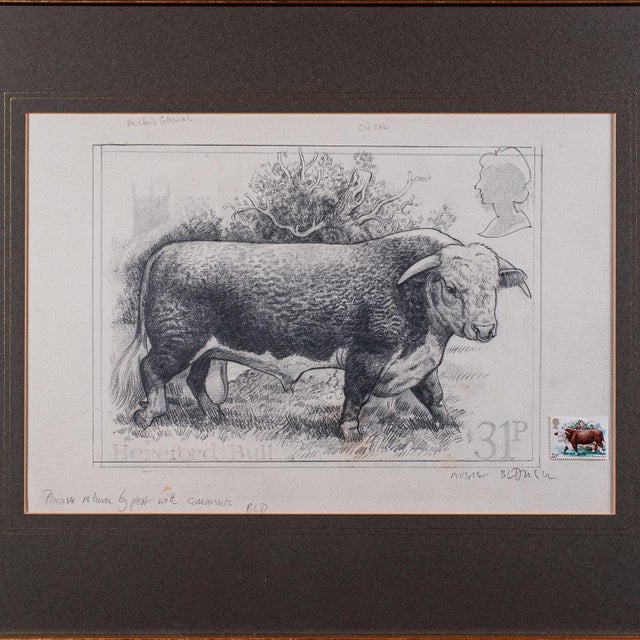 Vintage Hereford Bull Sketch, English, Framed Art, Stamp Proof, Barry Driscoll For Sale - Image 4 of 11