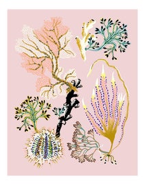 Example of Sarah Gordon