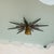 1950s French Bronze + Frosted Glass Flush Mount by Sabino for Dominique, 1950s For Sale - Image 5 of 10
