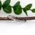 Dainty Alexandrite Band With Milgrain Details in Solid 14k White Gold | Rd 2mm, Size 6.75 For Sale - Image 4 of 8