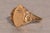 The 19th Avenue: Navette Shaped Signet Ring with Natural Diamond For Sale - Image 4 of 10