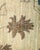 Contemporary Eclectic Collection Hand-Knotted Area Rug - Light Blue Collection 10' 4" X 13' 9" For Sale - Image 3 of 10