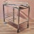 French Art Deco Bar Trolley by Jacques Adnet, 1930s For Sale - Image 3 of 12