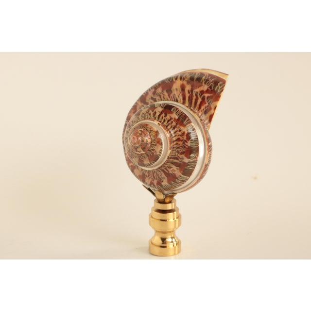 Mother of Pearl Banded Shell Lamp Finial Chairish